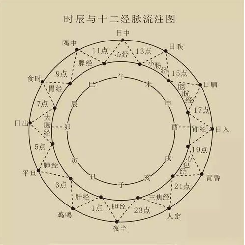 时辰与十二经脉流注图