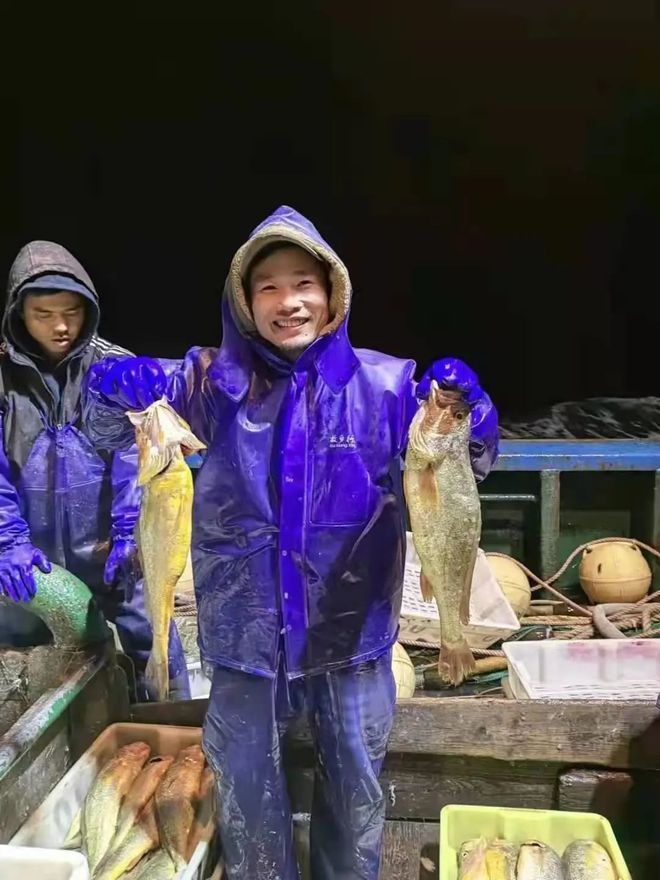 起捕65吨大黄鱼!比航母还大的养鱼船,真能让大黄鱼成为家常菜? - 中医农业实践者
