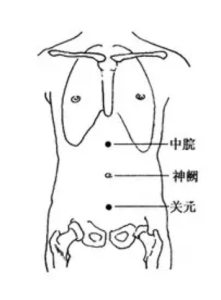 肺气虚 脾气虚 心血虚 肝血虚 心阳虚 脾阳虚 肺阴虚 脾阴虚 - 中医农业实践者